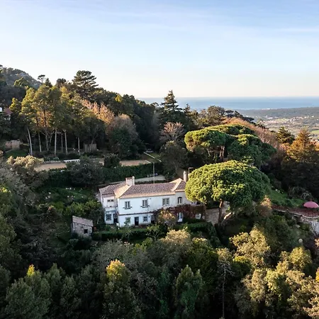 Chapeu De Sol - * Sintra