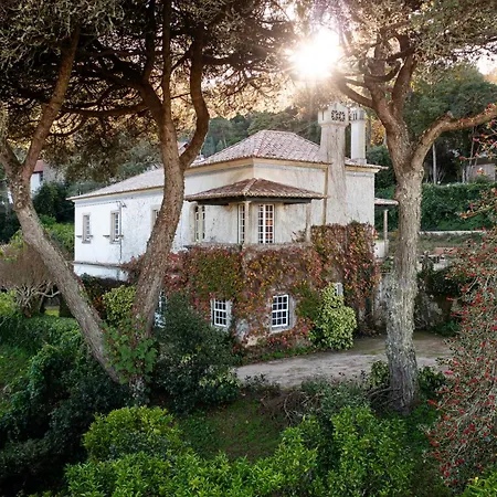 Chapeu De Sol -